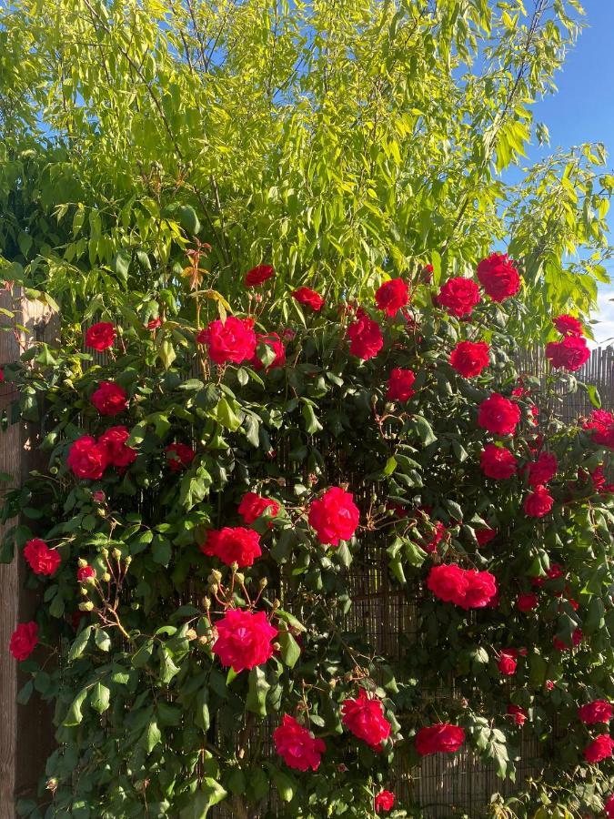 Bed & Breakfast Paola Villa San Leonardo